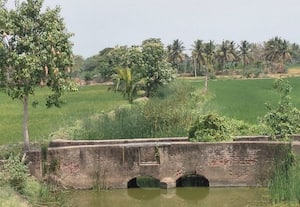  வாய்க்காலை துார்வார கோரிக்கை