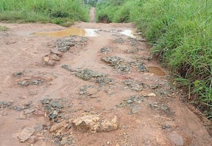  சீனக்கொல்லி மண் சாலையை சீரமைக்க எதிர்பார்ப்பு