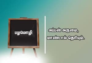  பழமொழி