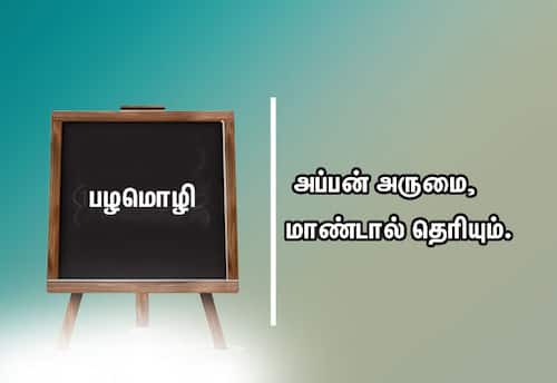  பழமொழி