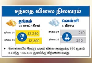  சந்தை விலை நிலவரம் : தங்கம் /  வெள்ளி