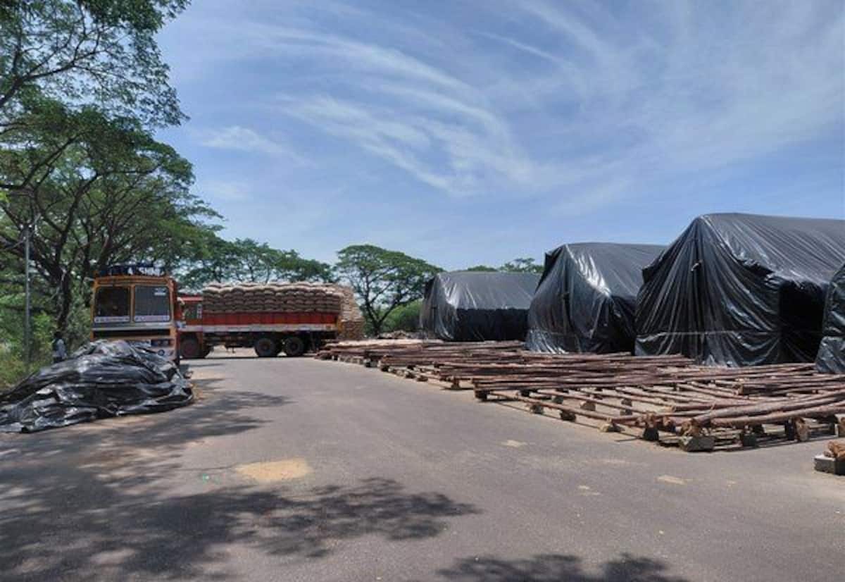 கொள்முதல் செய்யப்பட்ட நெல் மூட்டைகள் அரிசி ஆலைகளுக்கு அனுப்பும் பணி தீவிரம்