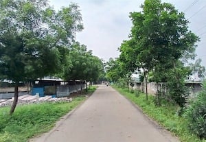  ரோட்டோர மரங்களால் பசுமை, இதமான சூழல் சாத்தியமாக்கிய தன்னார்வலர்கள், மக்கள்