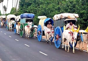  காரைக்குடி - அழகர்கோவிலுக்கு பாரம்பரிய மாட்டுவண்டி பயணம்