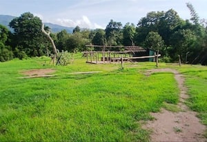  முதுமலை அபயாரணயம் யானைகள் முகாம் மூடல்
