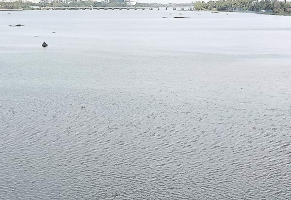 ஓடப்பள்ளி தடுப்பணையில் குடிநீருக்கு மட்டும் தண்ணீர் தேக்கம்
