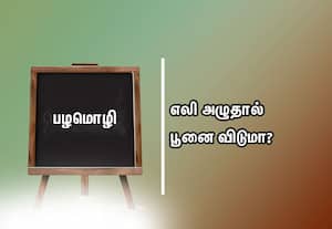  பழமொழி