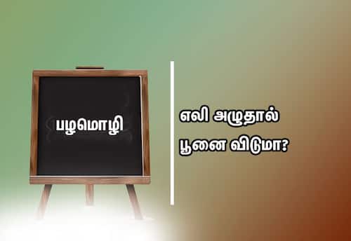  பழமொழி