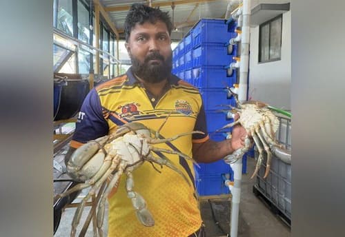  நண்டு வளர்க்கும் முன்னாள் தடகள வீரர்