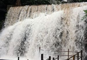  மேகமலையில் விடிய விடிய மழை: சுருளி அருவியில் வெள்ளப்பெருக்கு