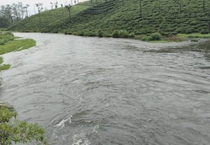  வால்பாறையில் கனமழை சோலையாறு நீர்மட்டம் உயர்வு