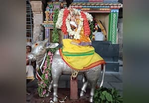  பாலசுப்பிரமணியர் கோயிலில் 63 நாயன்மார்கள் திருவிழா