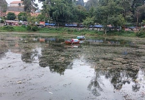 மாசடைந்த கொடைக்கானல் ஏரி