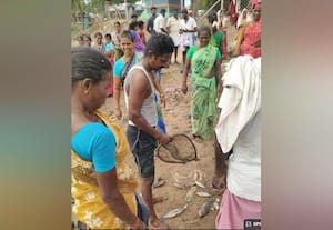  கள்ளிக்குடியில் மீன்பிடி திருவிழா