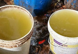  'கொடை'யில் மஞ்சள் நிற குடிநீர் தொற்று நோய் பரவும் அபாயம்