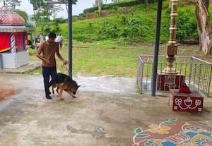  மாரியம்மன் கோவிலில் திருட்டு; தங்க நகைகள் குறித்து விசாரணை