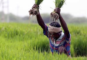 நெல் கொள்முதல்; 63 லட்சம் டன்