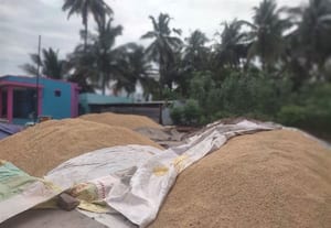  நெல் கொள்முதலில் அலட்சியம் மழையால் விவசாயிகள் சிரமம்