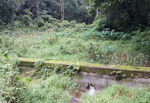  சேதமடைந்த தடுப்பணை வீணாகும் மழை நீரால் பாதிப்பு