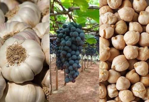  வேளாண் பொருட்கள் சந்தை நிலவரம் (6.8.2026)
