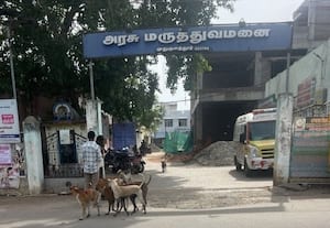  அரசு மருத்துவமனையில் கூட்டமாக திரியும் நாய்களால் மக்கள் அச்சம்