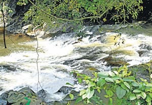 கூடலுார் பாண்டியார் -புன்னம்புழா புதிய திட்டம்﻿ அவசியம்! கேரள கடலில் வீணாகும் நீரை சேமித்தால் பயன்