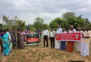  பயிர்க்காப்பீடு அவசியம் விவசாயிகளுக்கு அறிவுரை