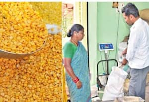  பொது விநியோகத்துக்கு தரம் குறைந்த பருப்பு சப்ளை; ஆய்வு நடத்த அதிகாரிகளுக்கு உத்தரவு
