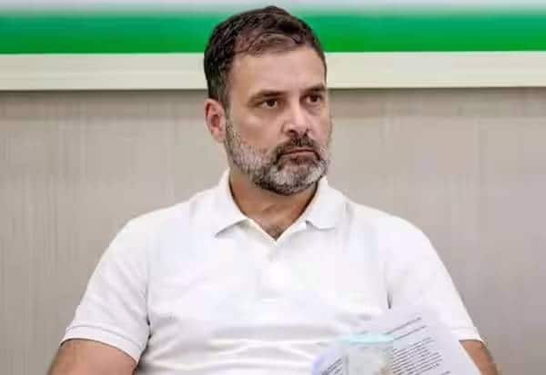 பிரச்னையில் சிக்கிய ராகுல், கரப்பான்பூச்சி கட்சி!