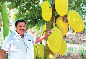  ‘லாபத்தை தாண்டி விவசாயத்தில் ஆத்ம திருப்தி கிடைக்கிறது!’