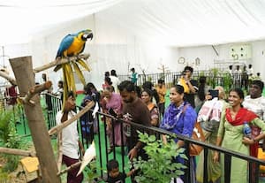  'தினமலர்' எக்ஸ்போ இன்றுடன் நிறைவு ஆபரில் பொருட்களை வாங்க மிஸ் பண்ணிடாதீங்க...