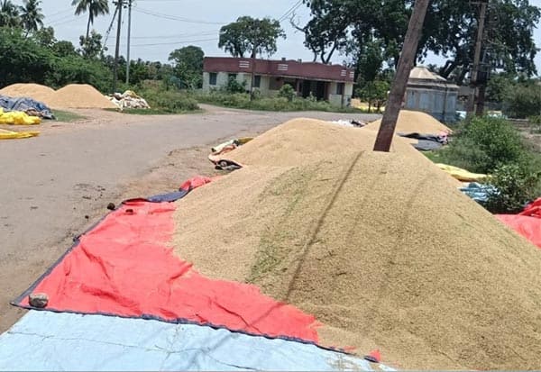 தேக்கம் கொள்முதல் நிலையங்களில் நெல் மூட்டைகள்... மாவட்ட நிர்வாகம் நடவடிக்கை எடுக்குமா