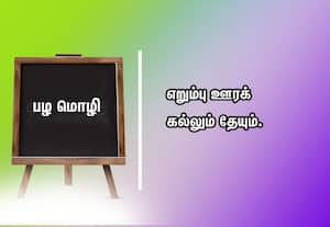  பழமொழி