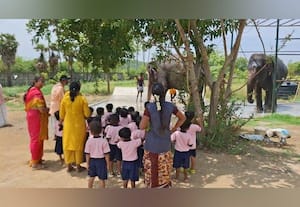  காஞ்சியில் யானைகள் பராமரிக்கப்படும் இடத்தை கண்டு களித்த பள்ளி சிறுவர் - சிறுமியர்