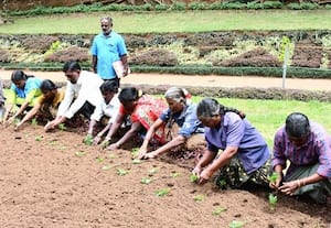  பூங்காவில் இரண்டாம் சீசனுக்கான மலர் நாற்று நடவு