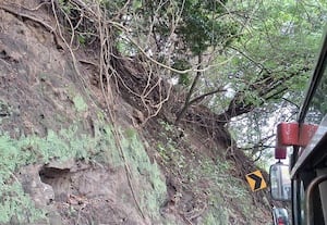  குமுளி மலைப்பாதையில் ஆபத்தான மரங்கள் விபத்து ஏற்படும் அபாயம்
