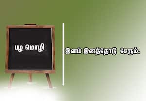  பழமொழி