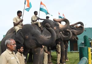  தேசிய கொடிக்கு யானைகள் மரியாதை