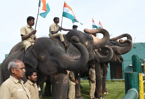  தேசிய கொடிக்கு யானைகள் மரியாதை