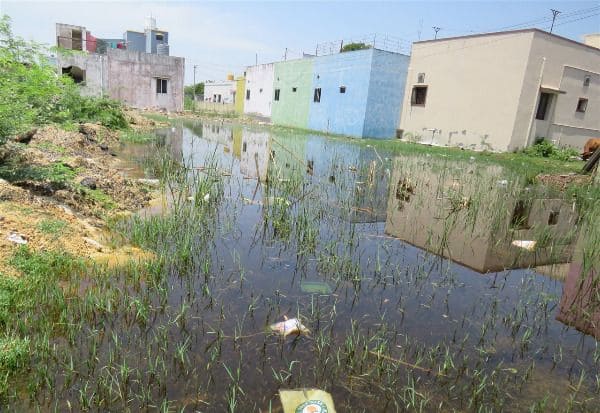  காலி மனையில் மழைநீர் தேக்கம்: தொற்று நோய் பரவும் அபாயம்