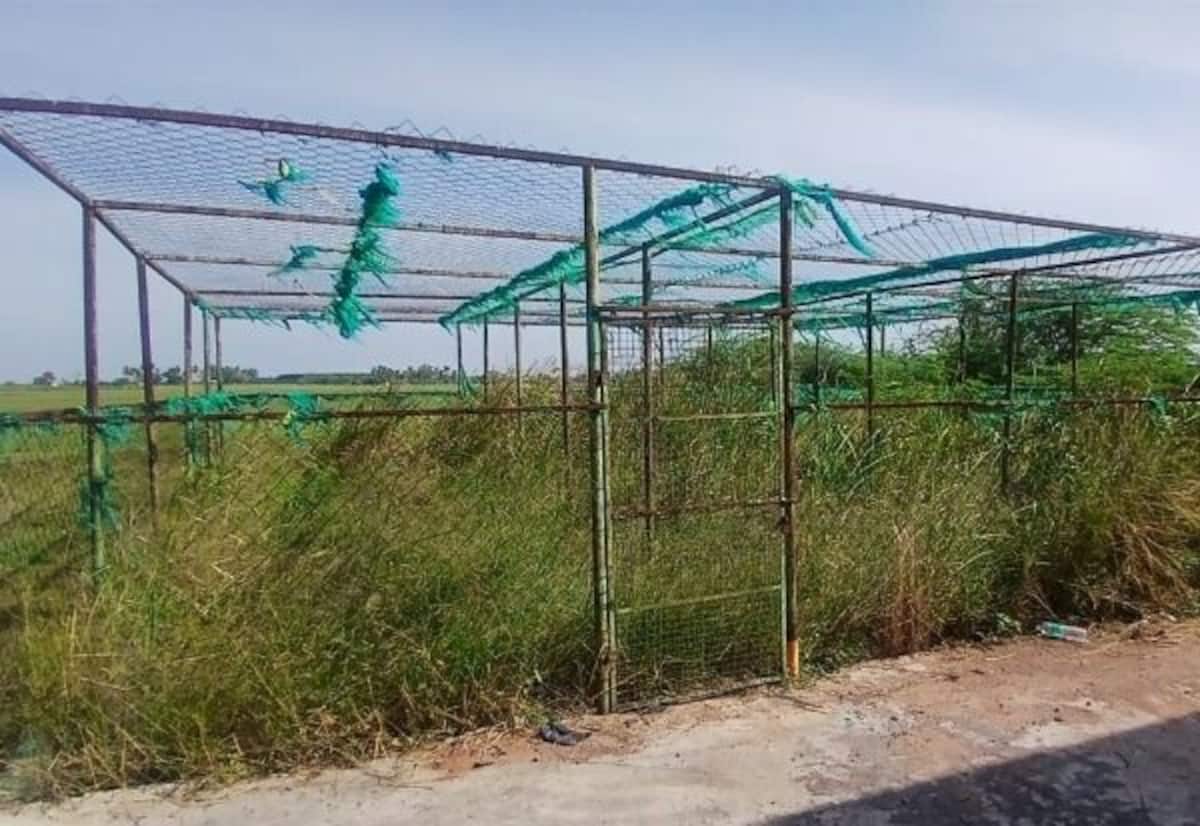 பயன்பாடின்றி பாழாகும் முருங்கை நாற்றங்கால்