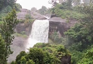 மழை குறைந்தும் அருவியில் நீர்வரத்து