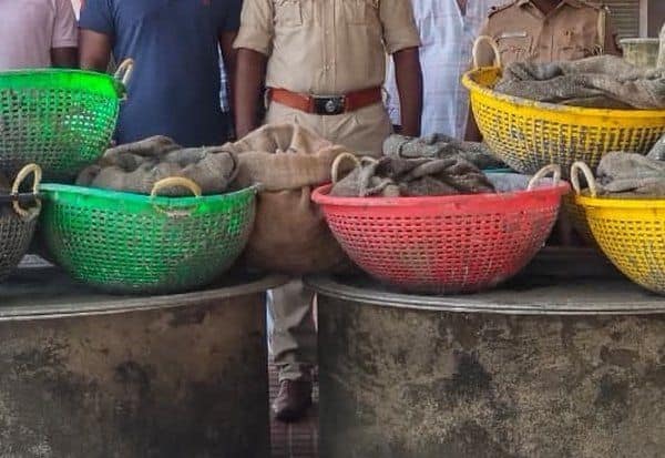  கடத்த முயன்ற கடல் அட்டைகள் பறிமுதல்