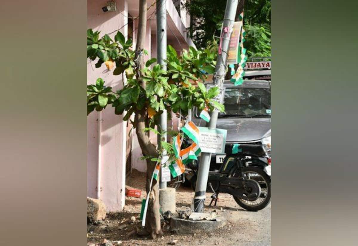 காற்றில் பறக்கும் தேசிய கொடி தோரணம்