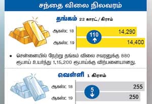 சந்தை விலை நிலவரம்