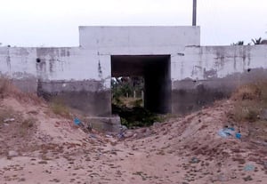  காட்டாங்குளத்தில் படித்துறை  அமைக்க மக்கள் வலியுறுத்தல் 