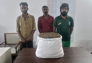  30 கிலோ கஞ்சா பறிமுதல் 11 வாலிபர்களுக்கு 'காப்பு'