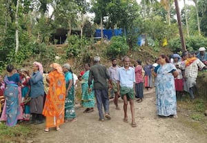  மேலும் ஒருவரை கொன்றது புலி; கூண்டு வைத்து பிடிக்க வனத்துறை உத்தரவு