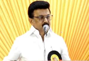 போர் அடிக்கிறது என அரசியலுக்கு வந்தவர்களல்ல; போராட வந்தவர்கள் என்கிறார் ஸ்டாலின் 