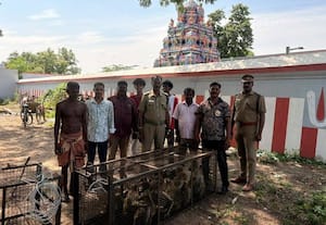 செய்தி எதிரொலி :மக்களை அச்சுறுத்திய குரங்குகளை கூண்டு வைத்து பிடித்த வனத்துறை